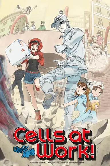Poster von Cells at Work!