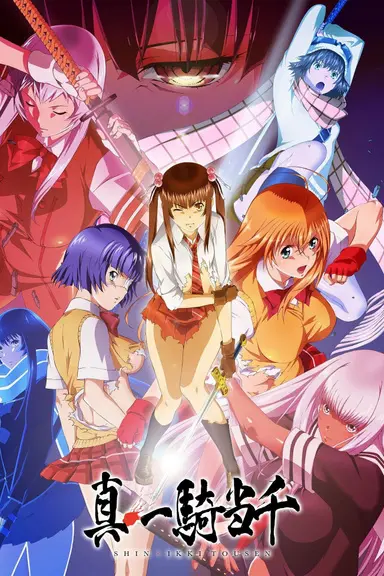 Poster von Shin Ikki Tousen